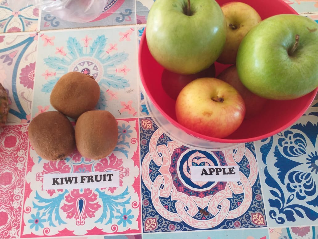 Fisk Nova Londrina/PR - "Fruit Salad"